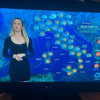 Tv LG + Amazon fire stick per renderla smart