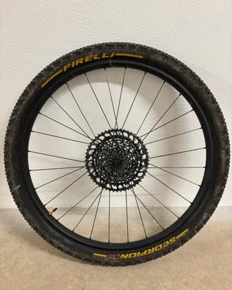 Coppia Ruote Specialized Mtb 29 gomme dischi