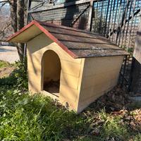 Cucce in cemento per cani grandi