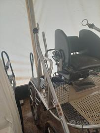 carrozza  maratona