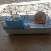 gabbietta per criceto o porcellino d' india 