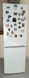frigo 