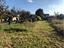 Immagine 26