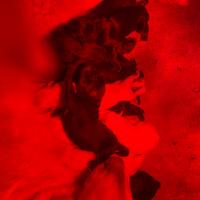 Cuccioli di pastore della Sila