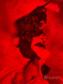 Cuccioli di pastore della Sila