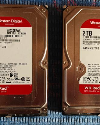 2 HD WD Red da 2Tb