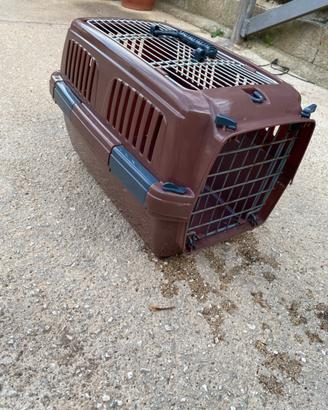 Trasportino per gatto