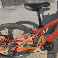 Bici mtb 