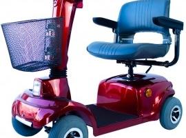 Altro Altro modello - 2024