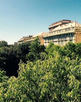 Stanza per universitarie
