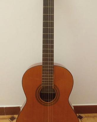 Chitarra