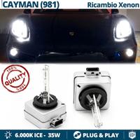Lampadine BIXENON D3S 6000K per PORSCHE CAYMAN 981