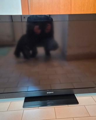 Lcd 46 " Sony KDL-46CX520