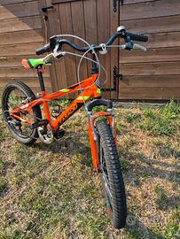 Bici casadei misura 20