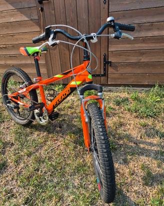 Bici casadei misura 20
