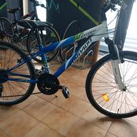 torpado 24 mtb