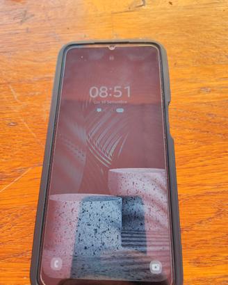 Cellulare Samsung