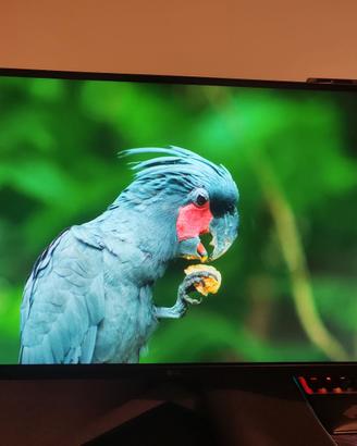 LG ultragear 27GP850P-B Monitor 2560x1440p 180HZ