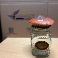 Barattolo decorativo