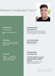 Cameriere o lavapiatti