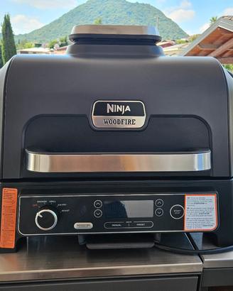 barbecue elettrico Ninja woodfire PRO XL