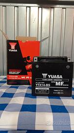 Yuasa YTX 14 BS AGM 12V 12.6Ah 200A