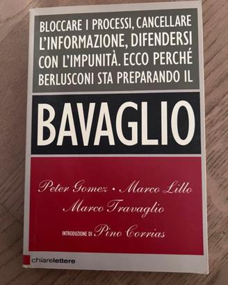 Libro politica italiana Berlusconi