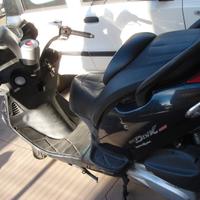 Kymco Grand Dink 250 - 2001