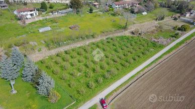 TER. AGRICOLO A BRA