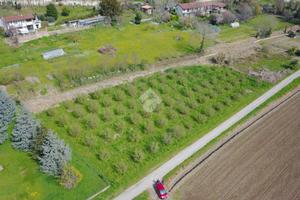 TER. AGRICOLO A BRA