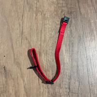 Guanzaglio e pettorina