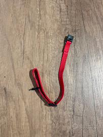 Guanzaglio e pettorina