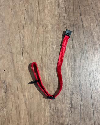 Guanzaglio e pettorina