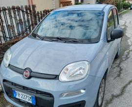 FIAT Panda 1.2 Easy 3ª serie - 2018