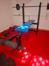 panca da palestra regolabile