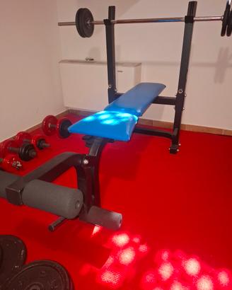panca da palestra regolabile