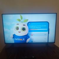 TV Grundig 50'' difettoso