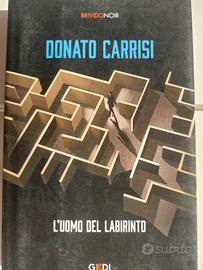 L'uomo del labirinto