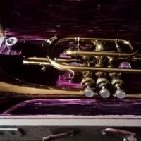 tromba a cornetta hsinghai si/b