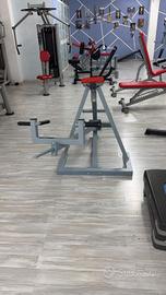 palestra 
