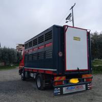 Eurocargo bestiame 