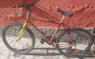 2 bici mountain bike 50 euro