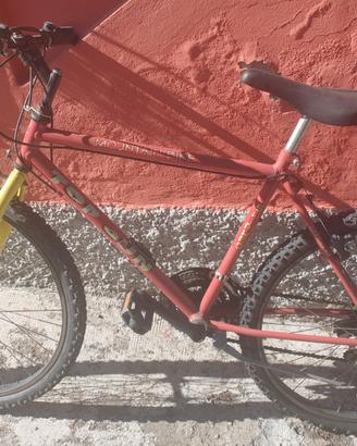 2 bici mountain bike 50 euro