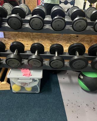 Manubri technogym