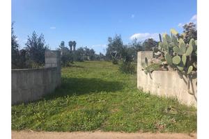 Terreno agricolo in agro di Melendugno