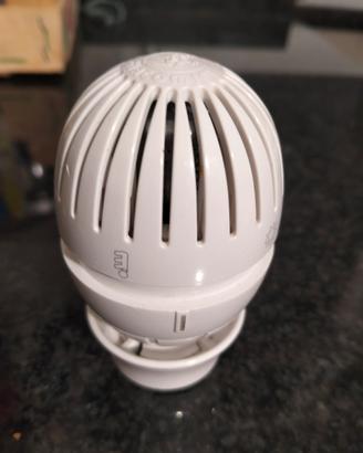 Testa termostatica Giacomini 