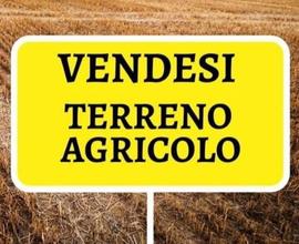 Terreno Agricolo Vigodarzere [0493241015VCG]