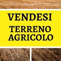 Terreno Agricolo Vigodarzere [0493241015VCG]