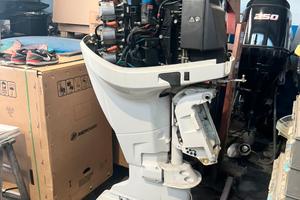 Evinrude e tec 250