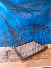 kennel per cane di media taglia